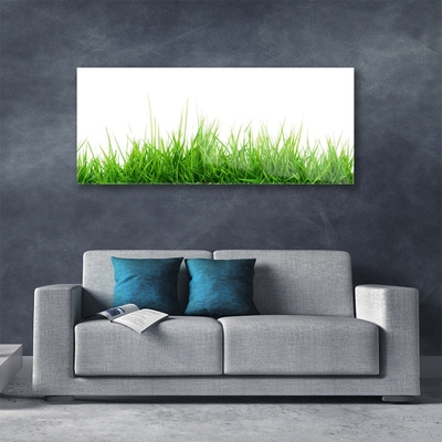 Glasbild aus Plexiglas® Gras Natur