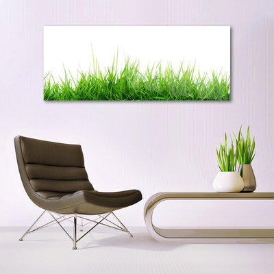 Glasbild aus Plexiglas® Gras Natur