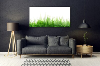 Glasbild aus Plexiglas® Gras Natur