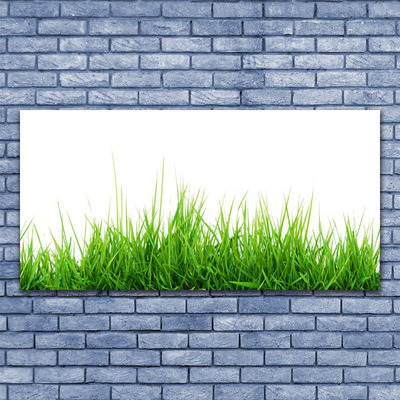 Glasbild aus Plexiglas® Gras Natur