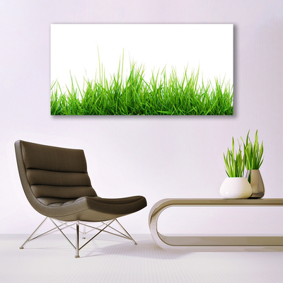 Glasbild aus Plexiglas® Gras Natur