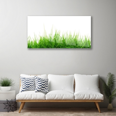 Glasbild aus Plexiglas® Gras Natur