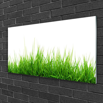 Glasbild aus Plexiglas® Gras Natur