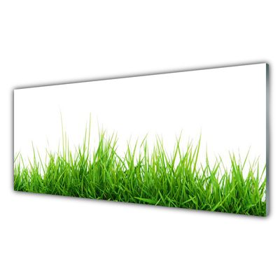 Glasbild aus Plexiglas® Gras Natur