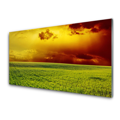 Glasbild aus Plexiglas® Acker Landschaft