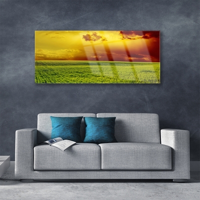 Glasbild aus Plexiglas® Acker Landschaft