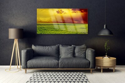 Glasbild aus Plexiglas® Acker Landschaft