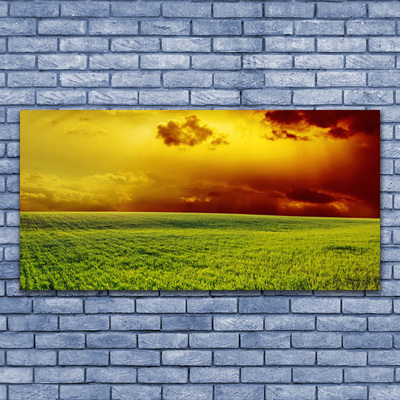 Glasbild aus Plexiglas® Acker Landschaft