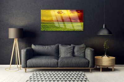 Glasbild aus Plexiglas® Acker Landschaft