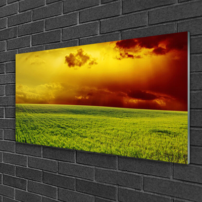 Glasbild aus Plexiglas® Acker Landschaft