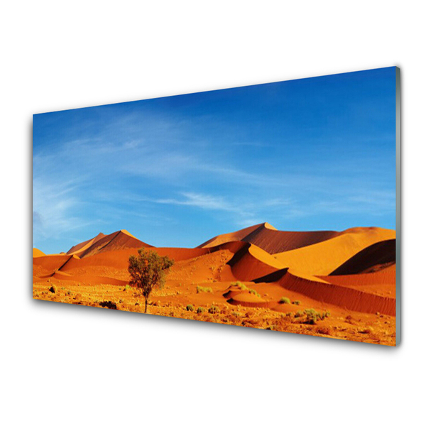 Glasbild aus Plexiglas® Wüste Landschaft