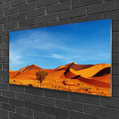 Glasbild aus Plexiglas® Wüste Landschaft