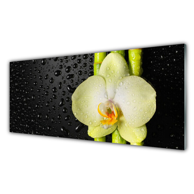 Glasbild aus Plexiglas® Bambusrohre Blume Pflanzen