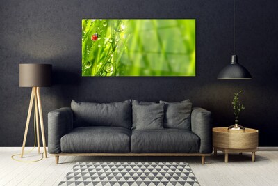 Glasbild aus Plexiglas® Gras Marienkäfer Natur