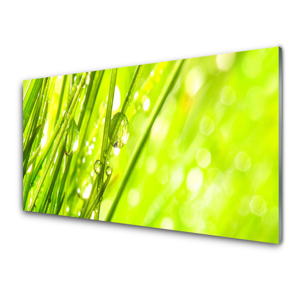 Glasbild aus Plexiglas® Gras Natur