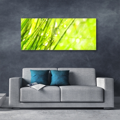 Glasbild aus Plexiglas® Gras Natur