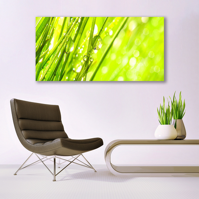 Glasbild aus Plexiglas® Gras Natur