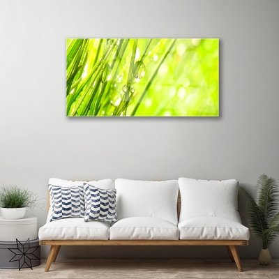 Glasbild aus Plexiglas® Gras Natur