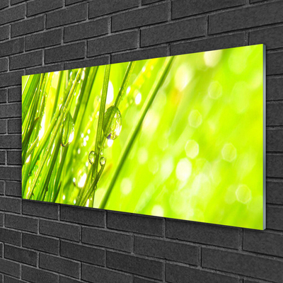 Glasbild aus Plexiglas® Gras Natur