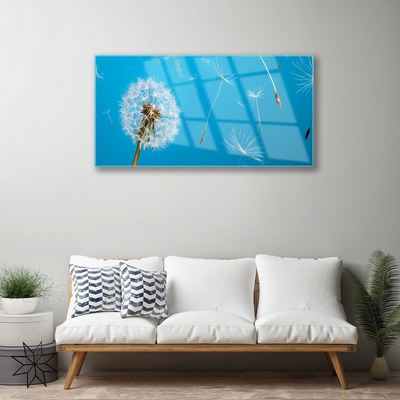 Glasbild aus Plexiglas® Pusteblume Pflanzen