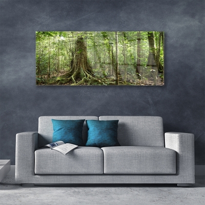 Glasbild aus Plexiglas® Wald Natur