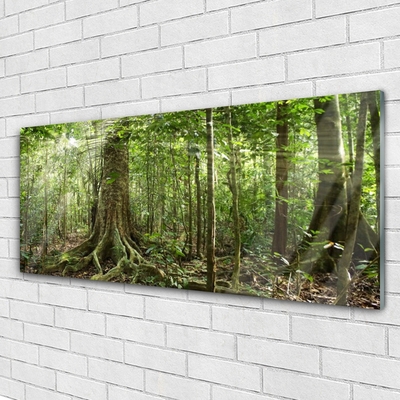 Glasbild aus Plexiglas® Wald Natur