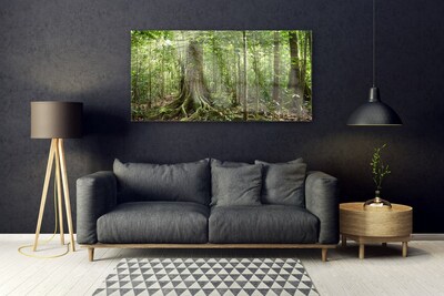 Glasbild aus Plexiglas® Wald Natur