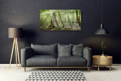 Glasbild aus Plexiglas® Wald Natur