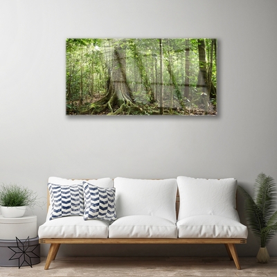 Glasbild aus Plexiglas® Wald Natur