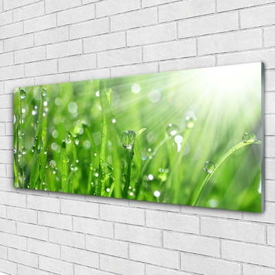 Glasbild aus Plexiglas® Gras Natur