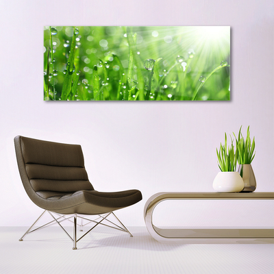 Glasbild aus Plexiglas® Gras Natur