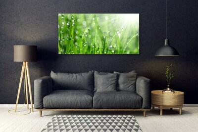 Glasbild aus Plexiglas® Gras Natur