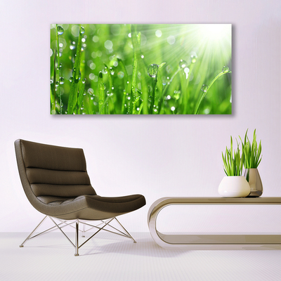 Glasbild aus Plexiglas® Gras Natur