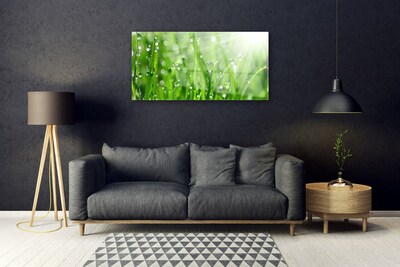 Glasbild aus Plexiglas® Gras Natur