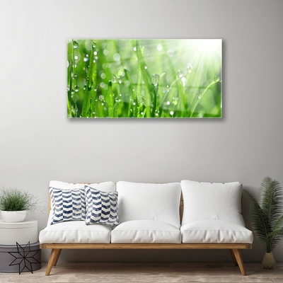 Glasbild aus Plexiglas® Gras Natur