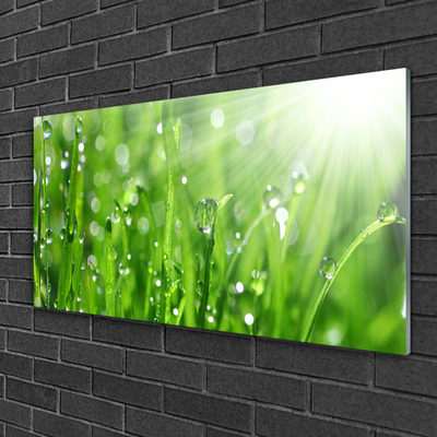 Glasbild aus Plexiglas® Gras Natur