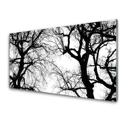 Glasbild aus Plexiglas® Bäume Natur