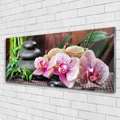 Glasbild aus Plexiglas® Bambusrohre Steine Blumen Pflanzen