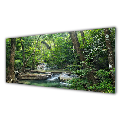 Glasbild aus Plexiglas® Wald Natur