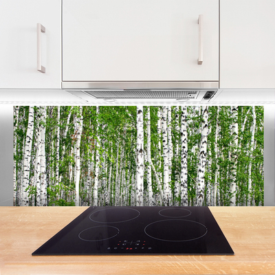 Küchenrückwand Spritzschutz Birken Wald Bäume Natur