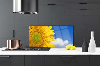 Küchenrückwand Spritzschutz Sonnenblume Wolken Pflanzen