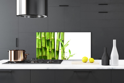 Küchenrückwand aus Glas ESG Spritzschutz 120x60cm Bambusrohre Pflanzen 