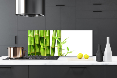 Küchenrückwand aus Glas 100x50cm ESG Spritzschutz Bambus Blätter Pflanzen 