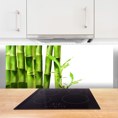 Küchenrückwand aus Glas 100x50cm ESG Spritzschutz Bambusrohre Pflanzen 
