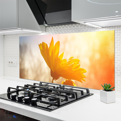 Küchenrückwand Spritzschutz Sonnenblume Pflanzen