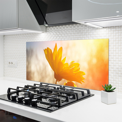 Küchenrückwand Spritzschutz Sonnenblume Pflanzen