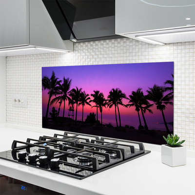 Küchenrückwand Spritzschutz Palmen Landschaft