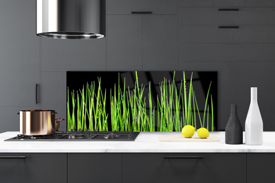 Küchenrückwand aus Glas ESG Spritzschutz 125x50cm Gras Pflanzen 