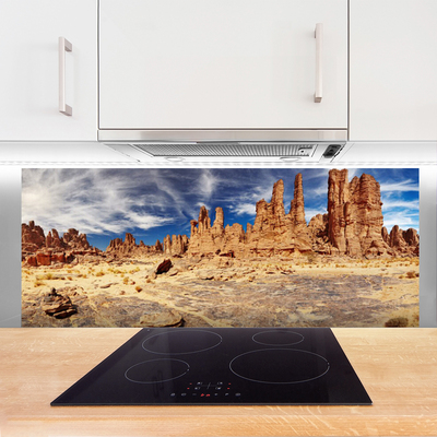 Küchenrückwand Spritzschutz Wüste Landschaft