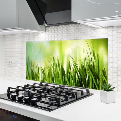 Küchenrückwand aus Glas ESG Spritzschutz 140x70cm Gras Natur 
